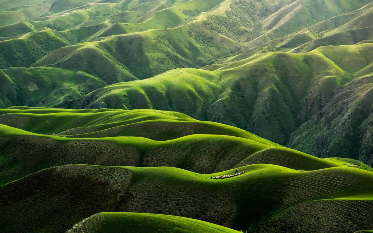 Green rolling hills, original photo